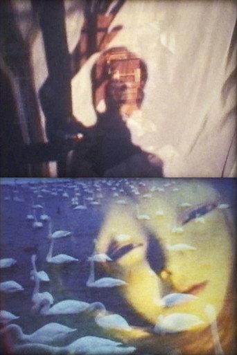 Filmletter★oufuku IV (1999) poster
