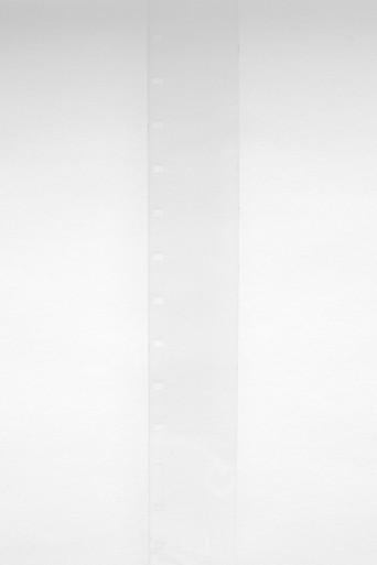 Film for Invisible Ink, Case No. 142: ABBREVIATION FOR DEAD WINTER  [Diminished by 1,794] (2008) poster