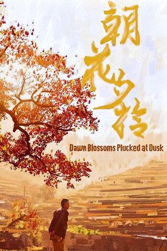 朝花夕拾 (2024) poster