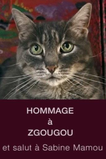 Tribute to Zgougou the Cat (2002) poster