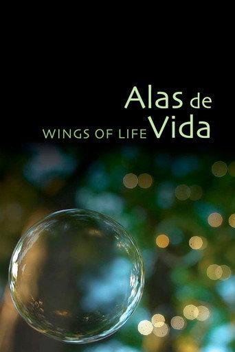 Alas de Vida (2015) poster