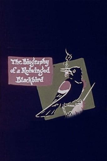 The Biography of a Redwinged Blackbird (1946) poster