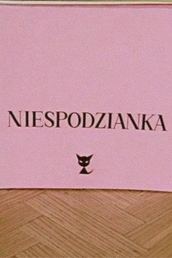 The Surprise (1965) poster