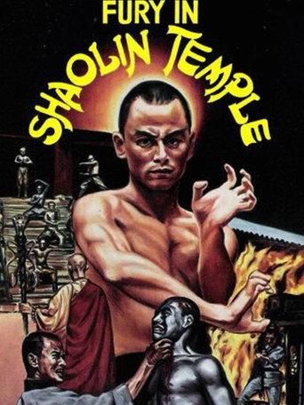 Fury in Shaolin Temple (1979) poster