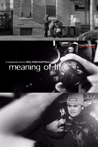 Meaning of Life (2008) poster