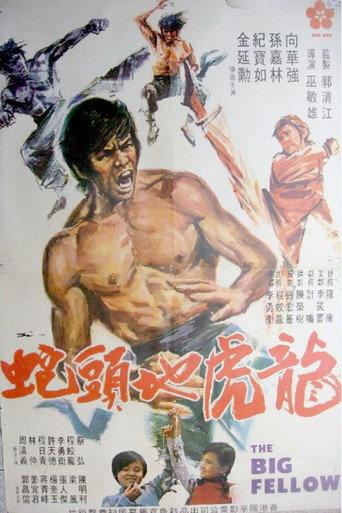 The Big Fellow (1973) poster