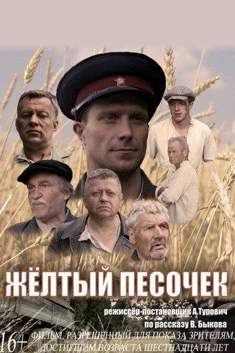 The Yellow Sand (2017) poster