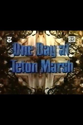 One Day at Teton Marsh (1964) poster