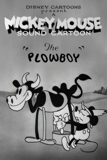 The Plowboy (1929) poster