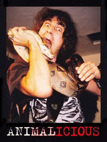 Animalicious (1999) poster