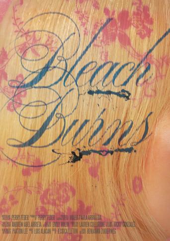 Bleach Burns () poster