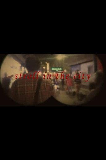 Stroll In The City (2024) poster