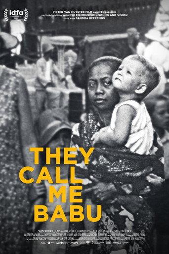 They Call Me Babu (2019) poster
