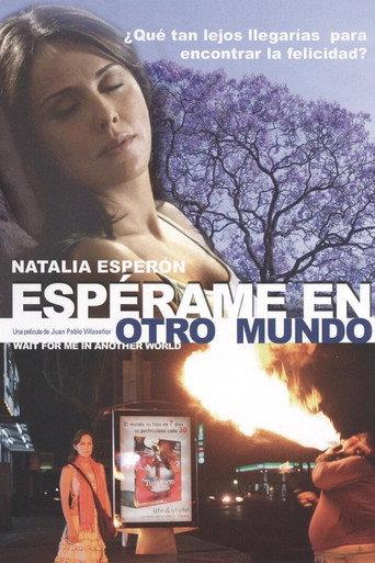 Wait for Me in Another World (2008) poster