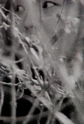 Visible Cinema (2013) poster