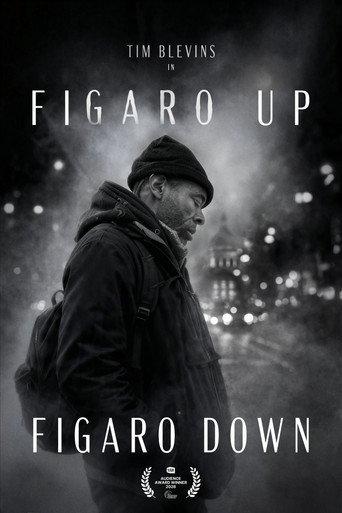 Figaro Up, Figaro Down (2026) poster