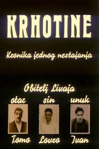 Fragments: Chronicle of a Vanishing (1991) poster