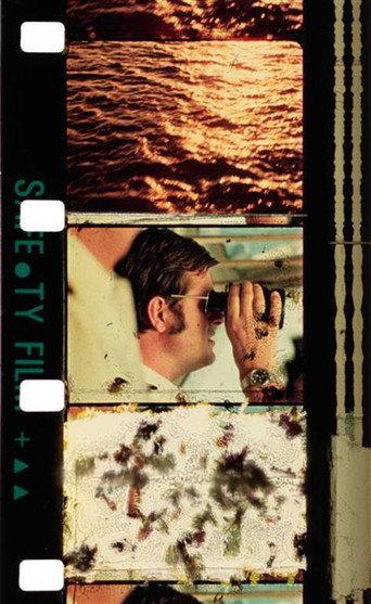 Cruises (1989) poster