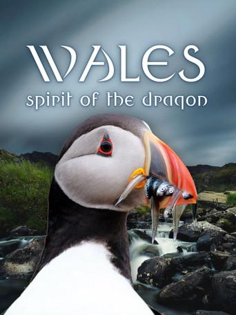 Wales: Spirit of the Dragon (2022) poster