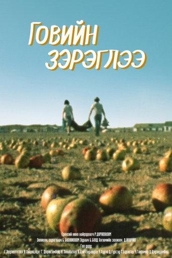 Mirage Above the Gobi Desert (1980) poster