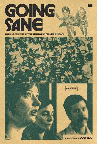 Going Sane: The Rise and Fall of the Center For Feeling Therapy (2026) poster