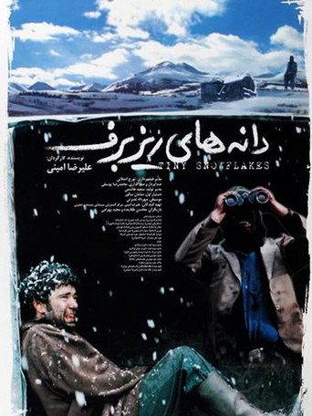 Tiny Snowflakes (2003) poster