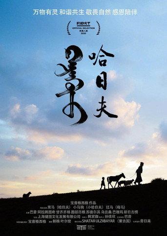 Harhuu (2020) poster