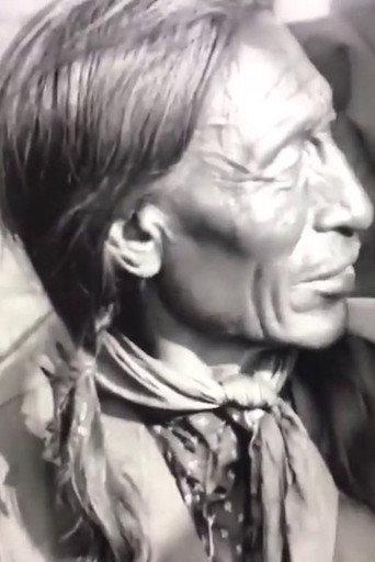 Buffalo Bill and Chief Iron Tail Swap Yarns in the Sign Language (1919) poster