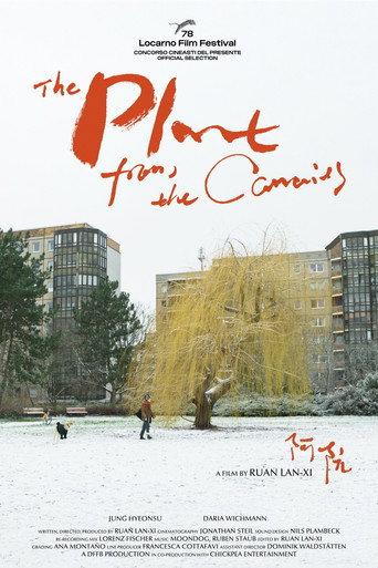 The Plant from the Canaries (2025) poster