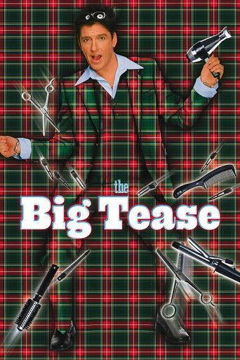 The Big Tease (1999) poster