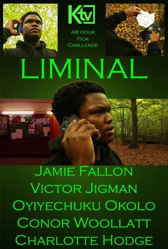 Liminal (2024) poster