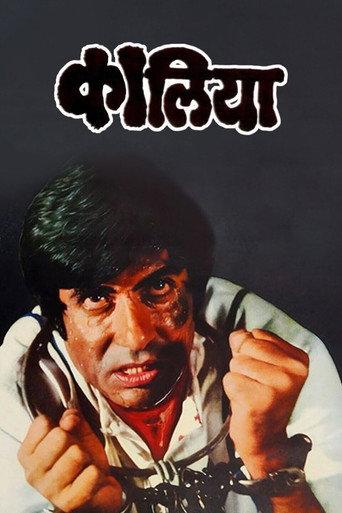 Kaalia (1981) poster