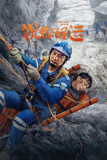 祝你好运 (2025) poster