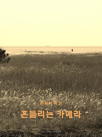 wandering camera (2020) poster