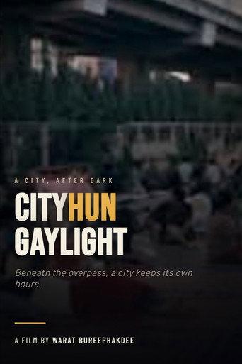 CityHun​ GayLight (2026) poster
