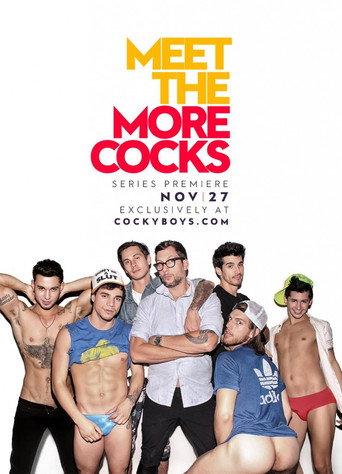 Meet the Morecocks (2015) poster