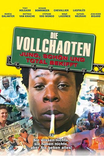 Young, Beautiful and Screwed Up (2003) poster