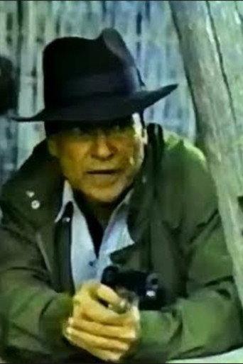 Gobernador (1992) poster