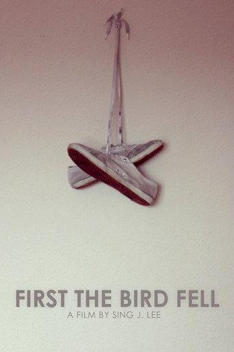 First the Bird Fell (2011) poster