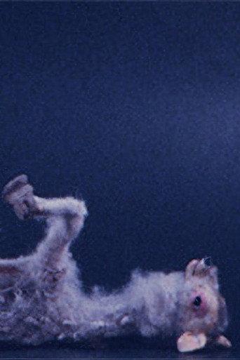 A LITTLE DEER'S LEGS ARE EASILY BROKEN (2002) poster