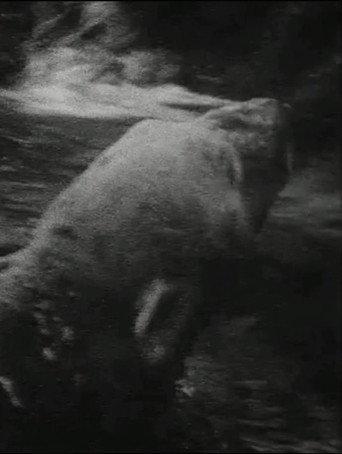 Eisbär (1993) poster