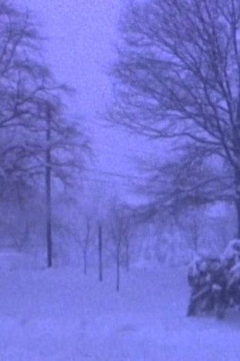 Heavy Snow in Silver Spring (2016) poster