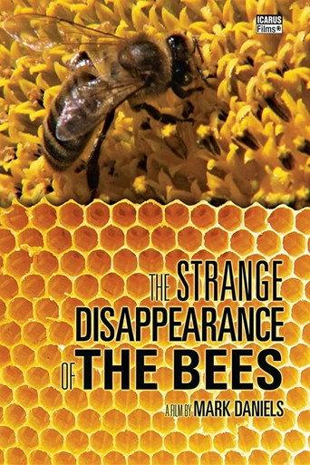 The Strange Disappearance of the Bees (2010) poster