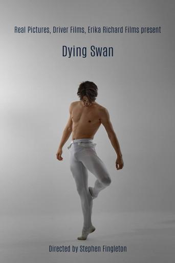 Dying Swan (2023) poster