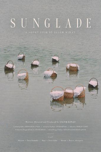 Sunglade () poster