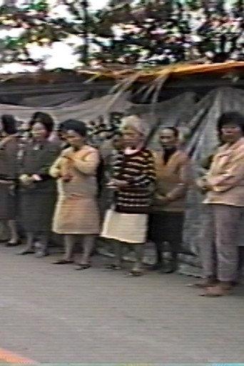 The Battle between Shui Yuan Village and LCY Chemical Corp. (1987) poster