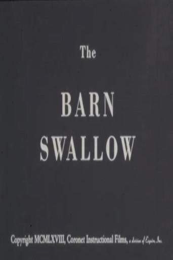 The Barn Swallow (1968) poster