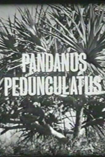 Pandanus Pedunculatus (1963) poster