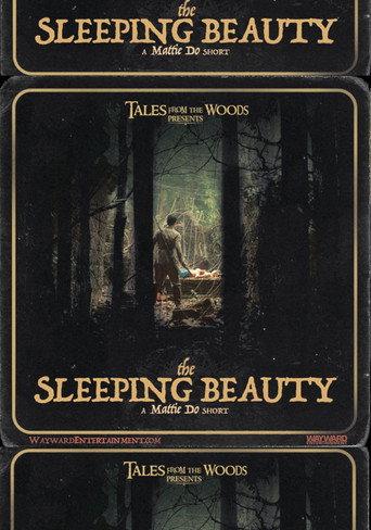 The Sleeping Beauty (2025) poster