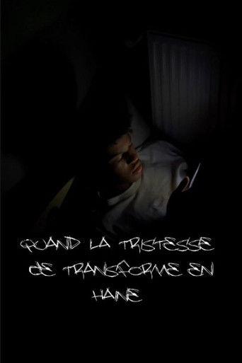 Quand la tristesse se transforme en haine (2024) poster